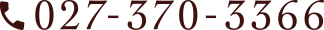 TEL:027-370-3366